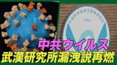 中共ウイルス研究所漏洩説再燃 感染拡大前に研究者３人が発病=米情報機関