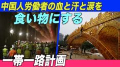 中国人奴隷労働者の血と汗と涙を食い物にする一帯一路計画【禁聞】
