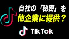 TikTokが自社の「秘密」を他企業に提供？