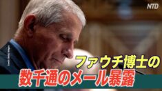 ファウチ博士の数千通のメールから ウイルスの起源が明らかになるか　