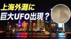 上海外灘に巨大UFO出現？