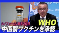 WHO 中国製薬大手シノバック製ワクチンを承認 シノファームに続き２件目