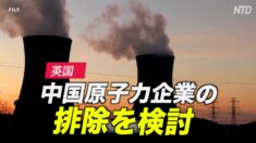 英国 中国原子力企業の排除を検討