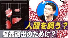 フォロワー多数の中国人法律研究者「臓器狩りは故意の殺人」