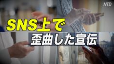 英NPO「中共がSNS上で歪曲した宣伝」香港デモ 新疆問題 中共ウイルス巡り