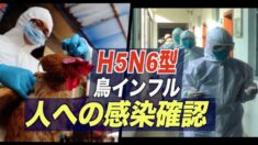 中国広東省 Ｈ5Ｎ6型鳥インフル人への感染がを確認