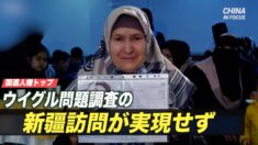 国連人権トップ ウイグル問題調査の新疆訪問が実現せず 遺憾の意