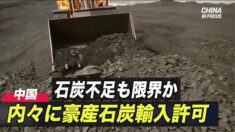石炭不足も限界か 内々に豪産石炭輸入許可＝中国