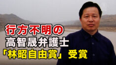 行方不明の高智晟弁護士「林昭自由賞」受賞