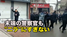 末端の警察官も「ニラ」にすぎない