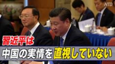 「習近平は中国の実情を直視していない」＝米諮問委員会ヒアリング