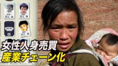女性人身売買はすでに産業チェーン化か