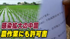 感染拡大の中国  農作業にも許可書