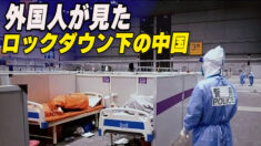 外国人が見たロックダウン下の中国の人々