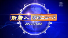NTD週刊ニュース 2022.04.03