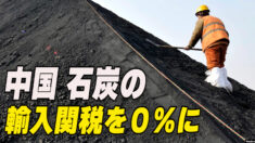中国 石炭の輸入関税を０％に