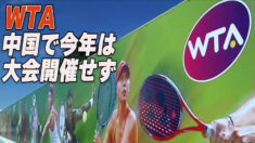 WTA 中国で今年は大会開催せず＝彭帥問題解決目指す