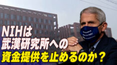 NIHは武漢研究所への資金提供を止めるのか？