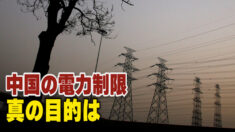 中国の電力制限の真の目的は