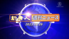 NTD週刊ニュース 2023.10.29