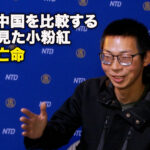 台湾と中国を比較する動画を見た小粉紅　米国へ亡命