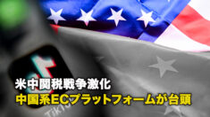 米中関税戦争激化 中国系ECプラットフォームが台頭