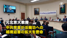 元北京大教授 中共党首が法輪功への越境迫害の拡大を密命